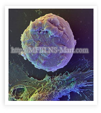 “同源原理”大多各種生物蛋白質的整體氨基酸順序排列都是相同